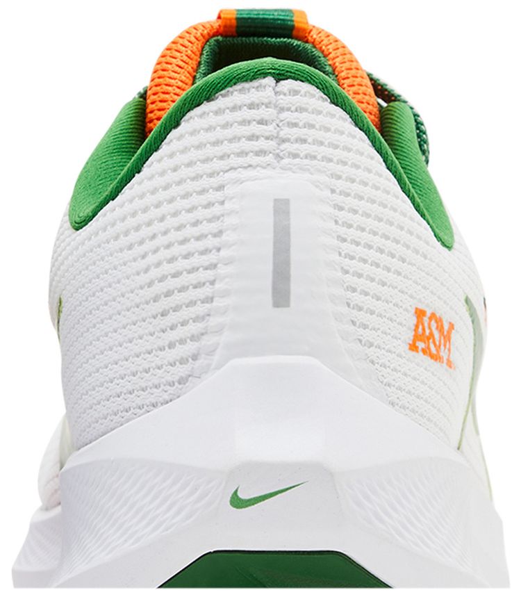 Nike Air Zoom Pegasus 40 Florida AM University
