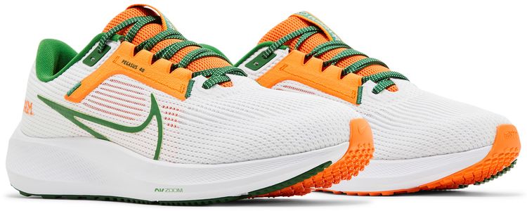 Nike Air Zoom Pegasus 40 Florida AM University