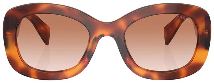 Prada Oval Sunglasses CognacTortoise