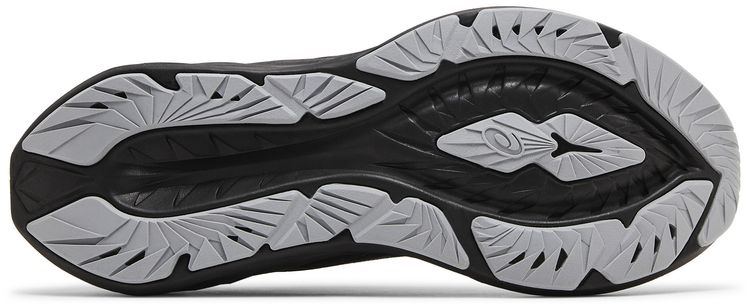 Asics Novablast 4 Black Graphite Grey