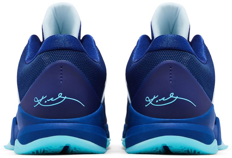 Zoom Kobe 5 Protro X Ray