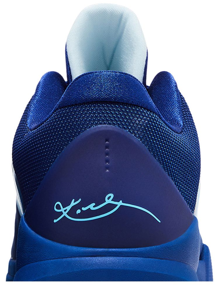 Zoom Kobe 5 Protro X Ray