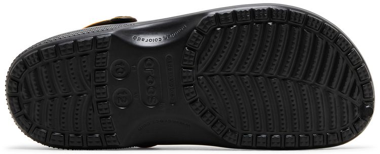 Pokemon x Crocs Classic Clog Charizard