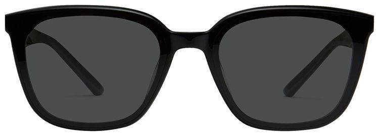 Gentle Monster Pino 01 Sunglasses Black