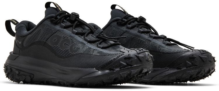 ACG Mountain Fly 2 Low GORE TEX Dark Smoke Grey