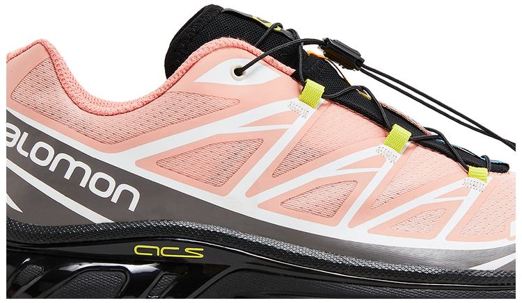 Salomon XT 6 Blooming Dahlia Monument