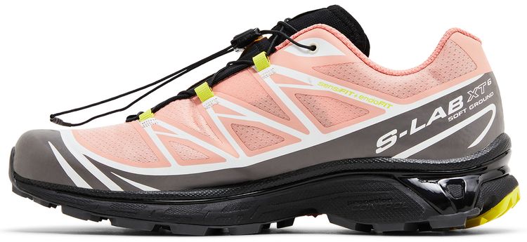 Salomon XT 6 Blooming Dahlia Monument