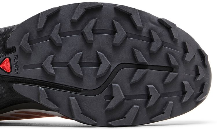 Salomon XT 6 Blooming Dahlia Monument