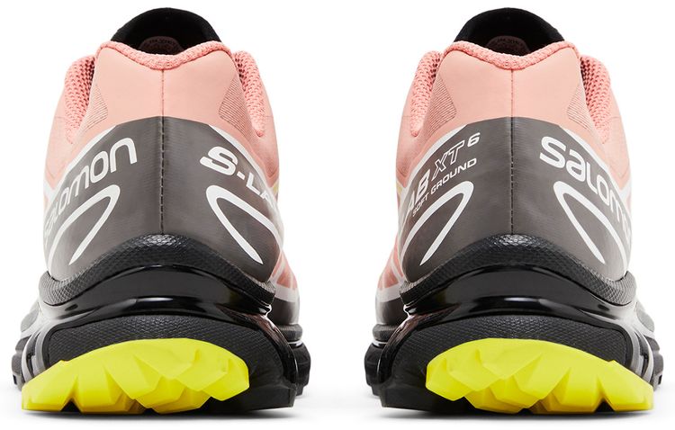 Salomon XT 6 Blooming Dahlia Monument