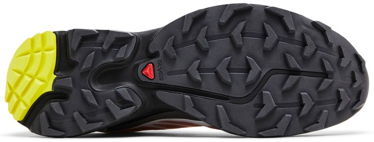 Salomon XT 6 Blooming Dahlia Monument