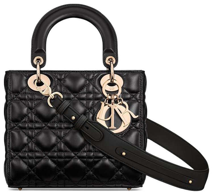Dior The Lady Dior My ABCDior Bag