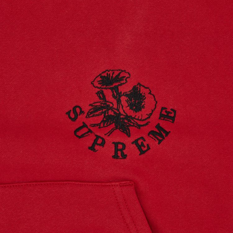 Supreme Wild Embroidered Hooded Sweatshirt Burnt Red