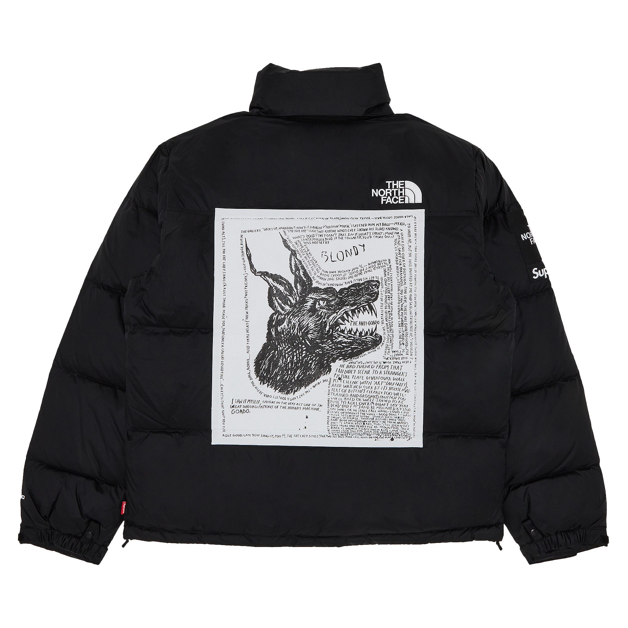 Jacket supreme x the north face online