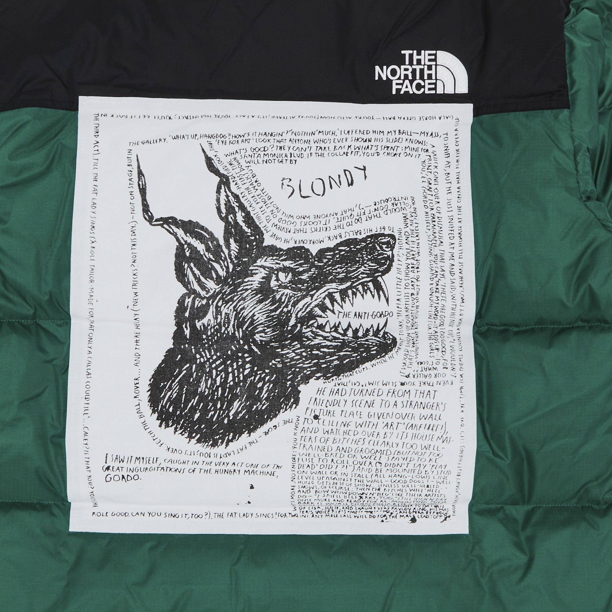 Buy Supreme x The North Face Nuptse Jacket 'Green' - FW24J9