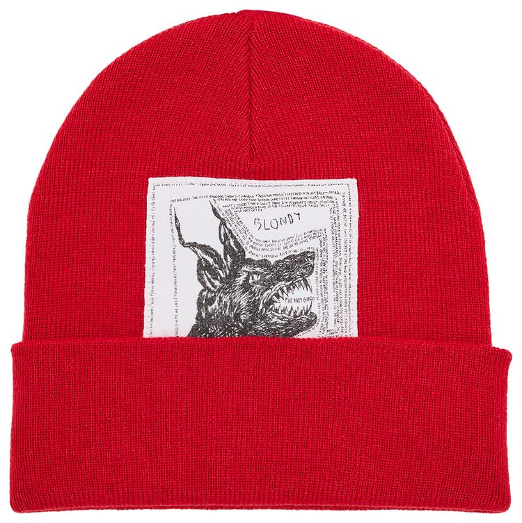 Supreme x The North Face Beanie Red