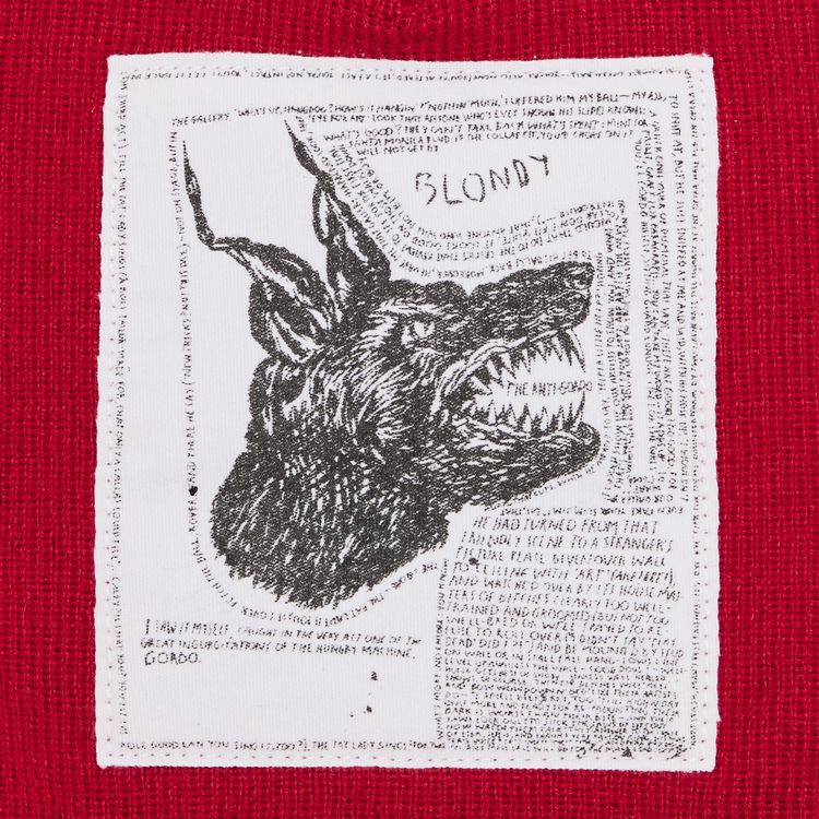 Supreme x The North Face Beanie Red