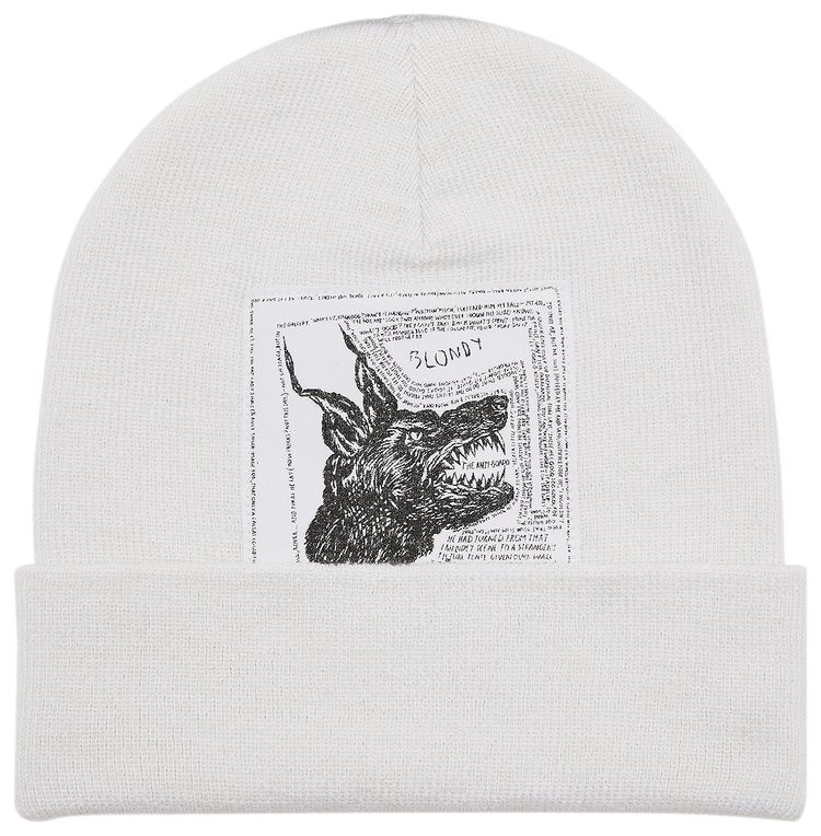 Supreme x The North Face Beanie White