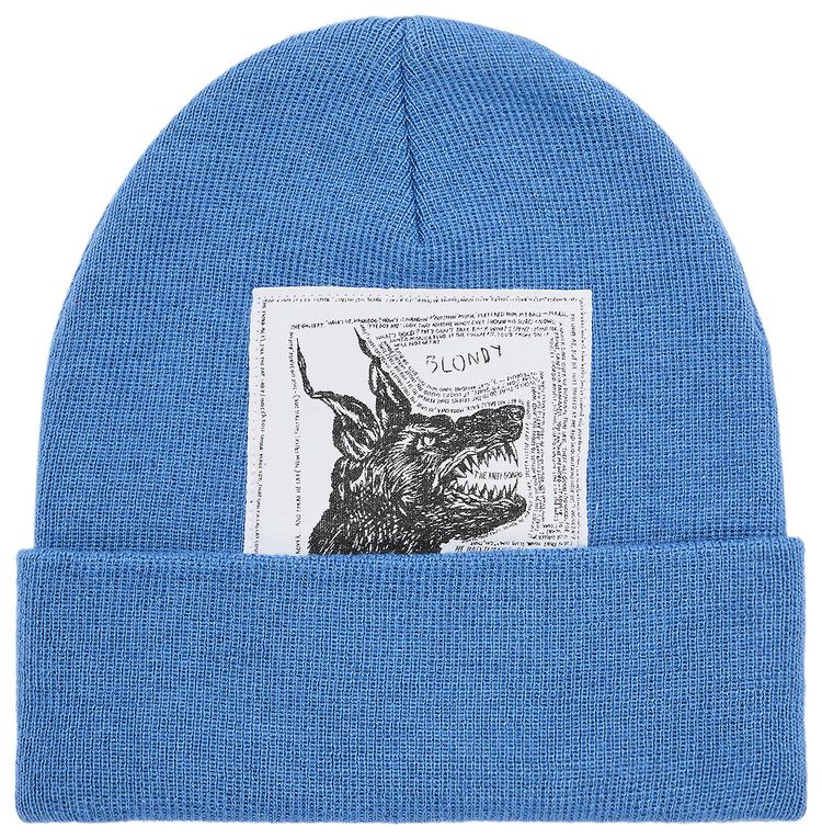 Supreme x The North Face Beanie Blue