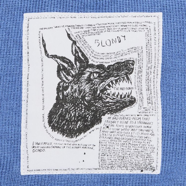 Supreme x The North Face Beanie Blue