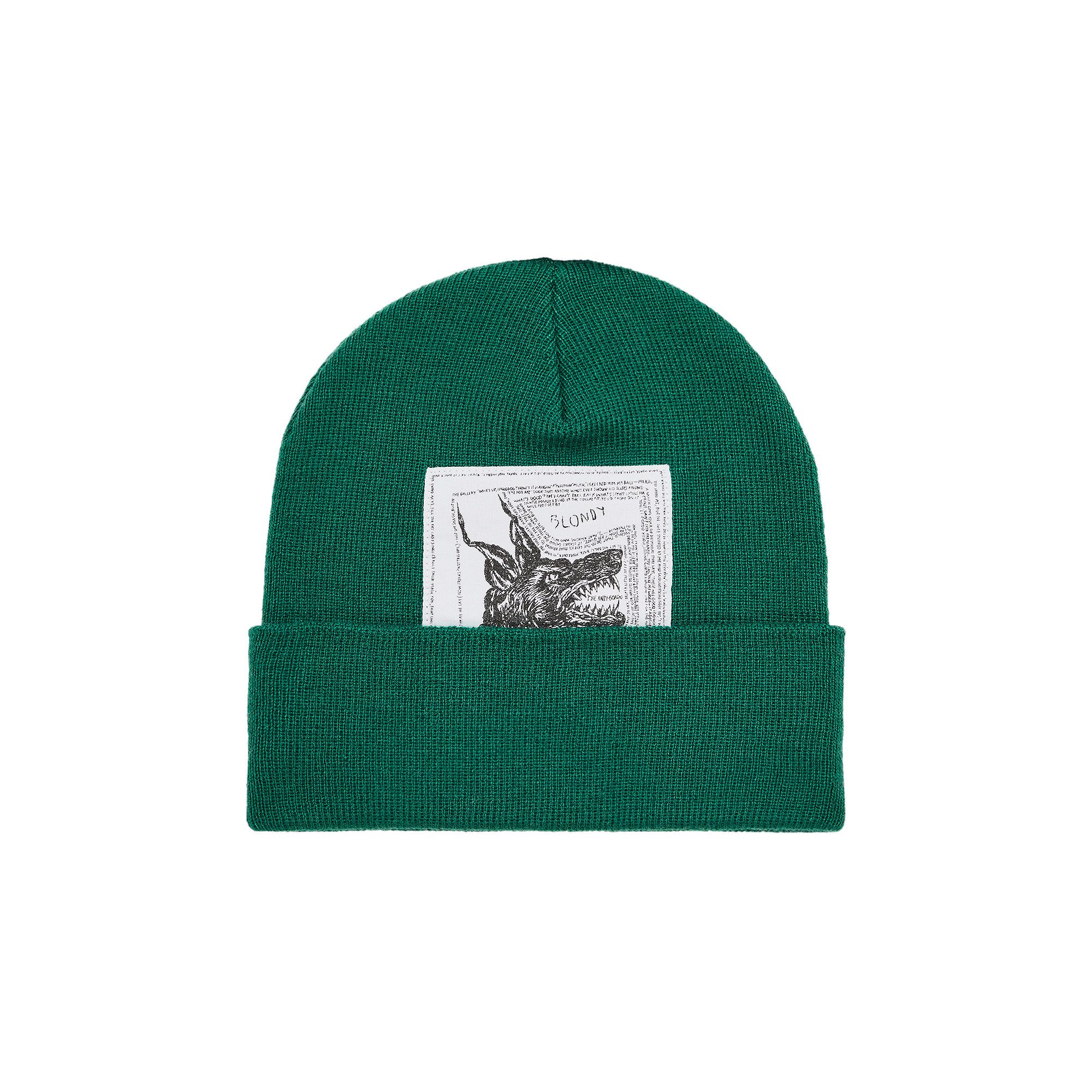 Supreme The North Face Beanie (FW24) - $44