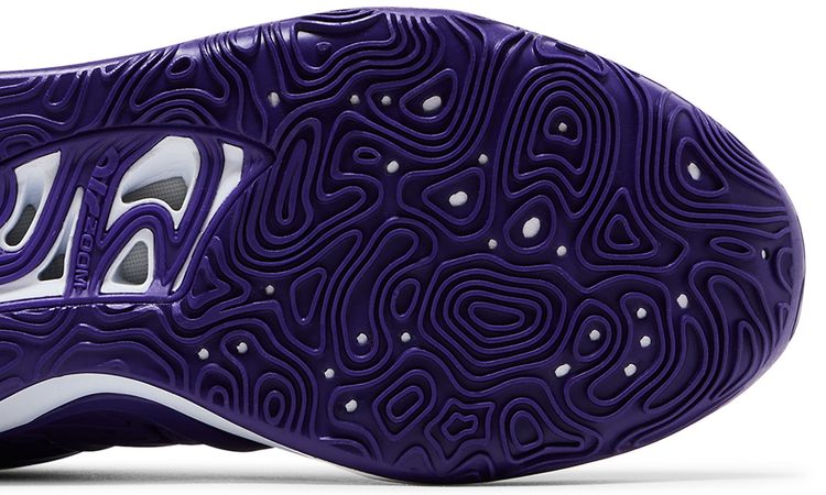 Nike KD 15 TB Court Purple