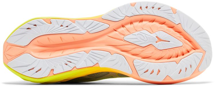 Asics Novablast 4 Paris