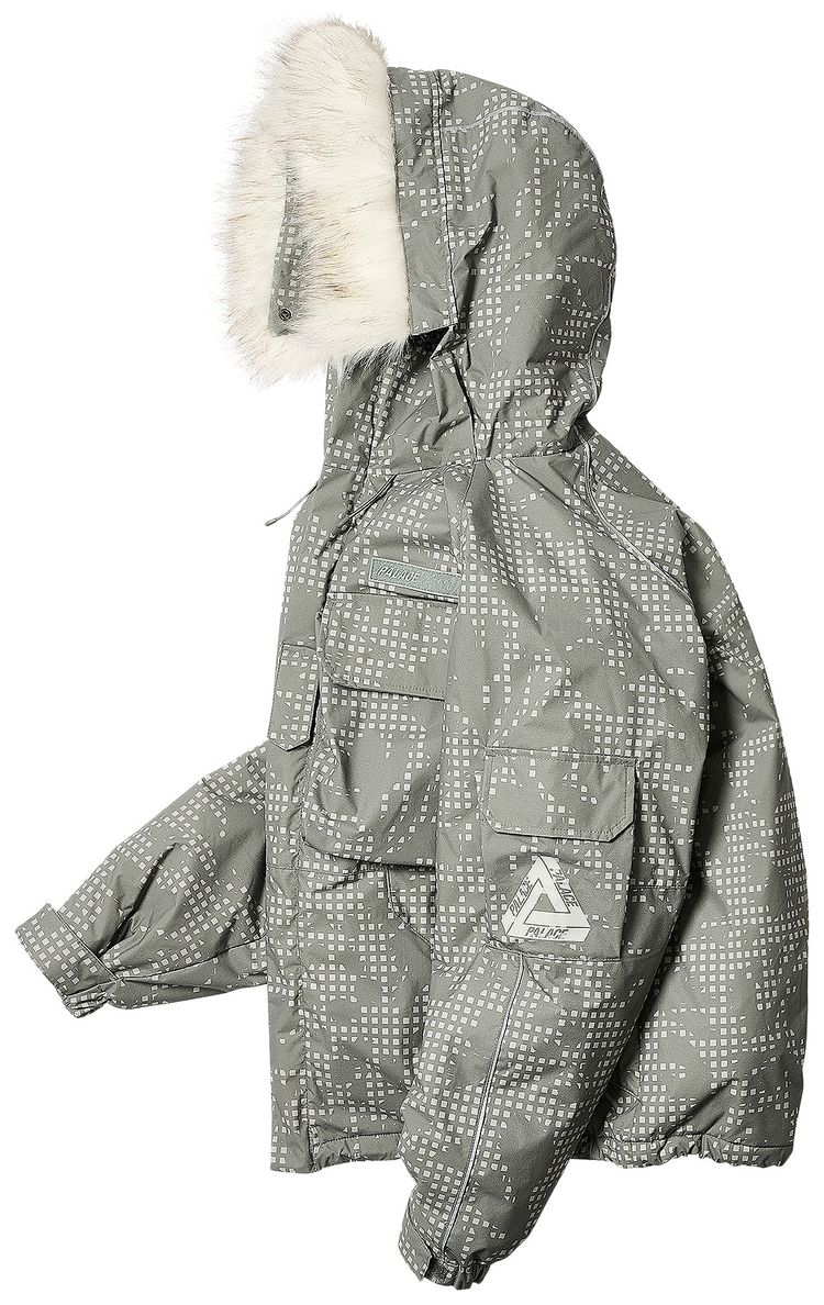 Palace Pcwcs Hooded Jacket Digi Dpm