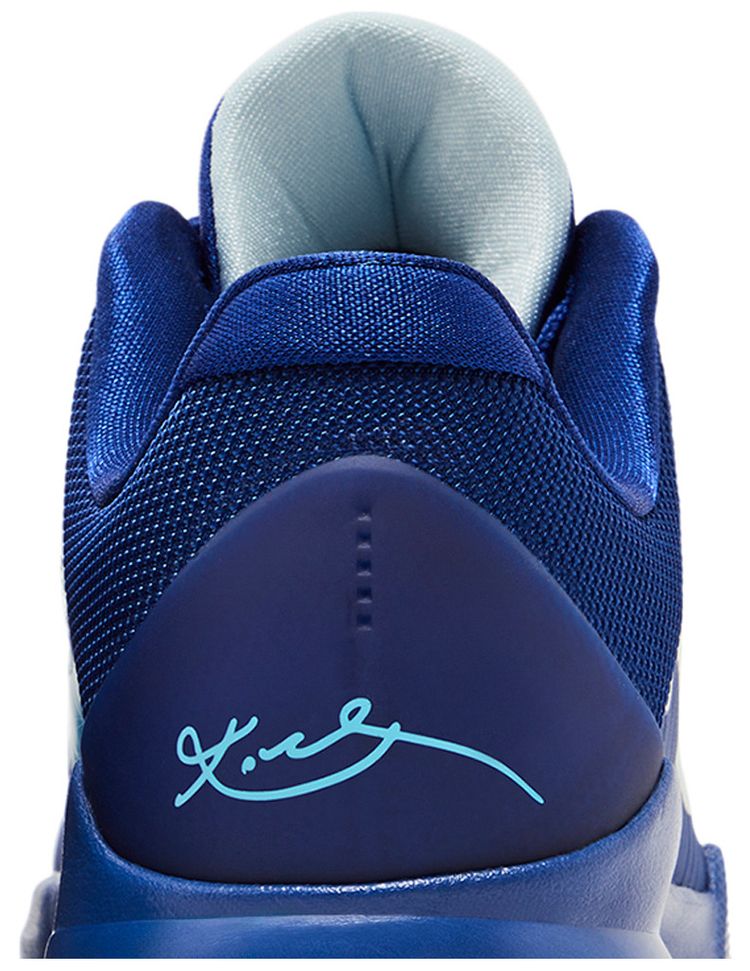 Zoom Kobe 5 GS X Ray