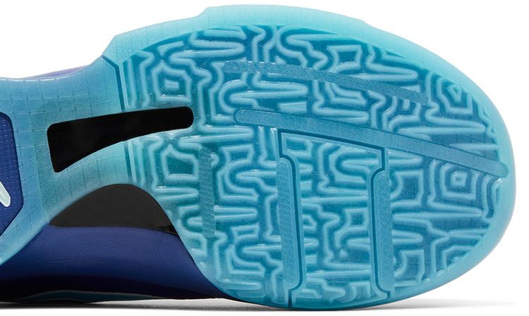 Zoom Kobe 5 GS X Ray
