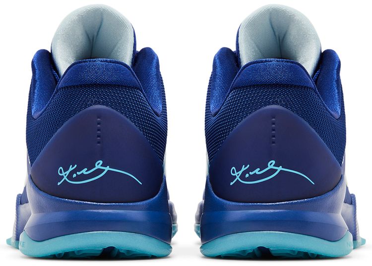 Zoom Kobe 5 GS X Ray