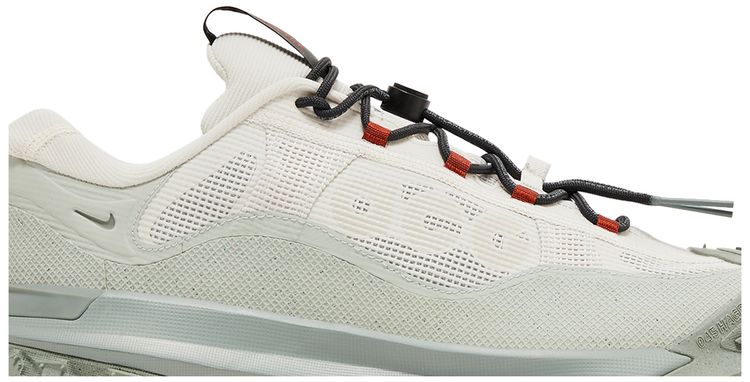 ACG Mountain Fly 2 Low GORE TEX Phantom Light Silver