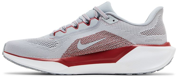 Nike Air Zoom Pegasus 41 Arkansas