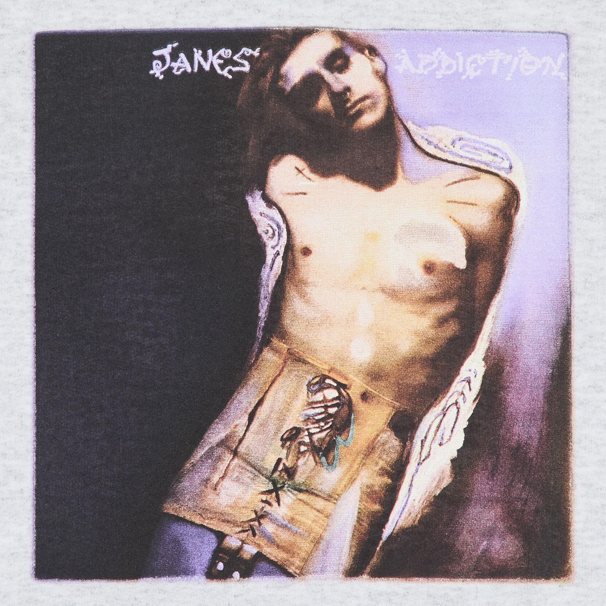 Buy Supreme x Jane's Addiction Hooded Sweatshirt 'Ash Grey