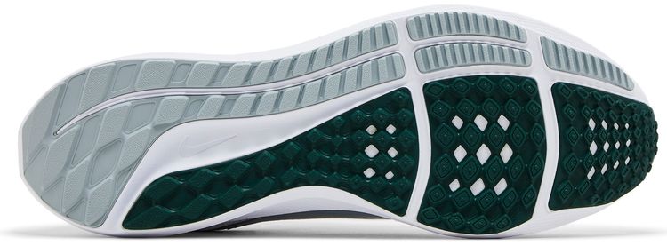 Nike Air Zoom Pegasus 40 Michigan State