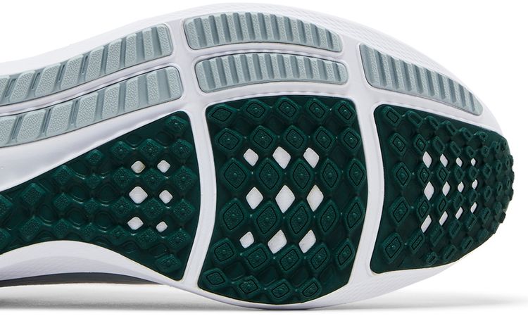 Nike Air Zoom Pegasus 40 Michigan State