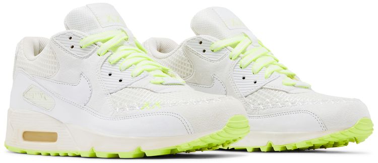 KAWS x Nike Air Max 90 Premium