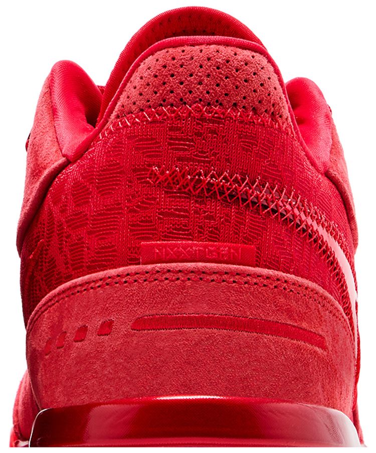 Nike Zoom LeBron NXXT Gen AMPD James Gang