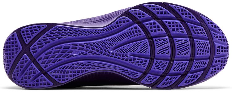 Nike LeBron TR 1 Purple Rain