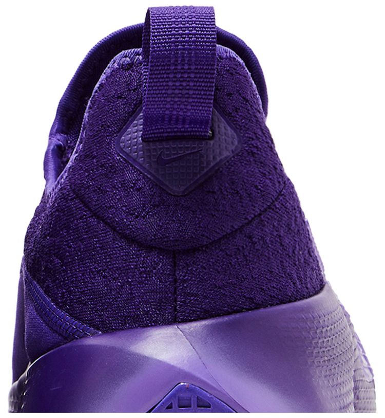 Nike LeBron TR 1 Purple Rain