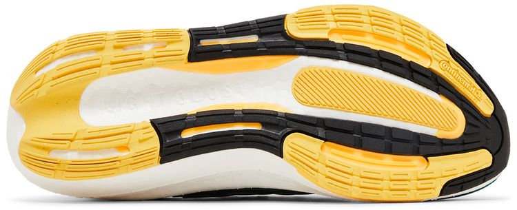 Adidas UltraBoost Light Earth Day