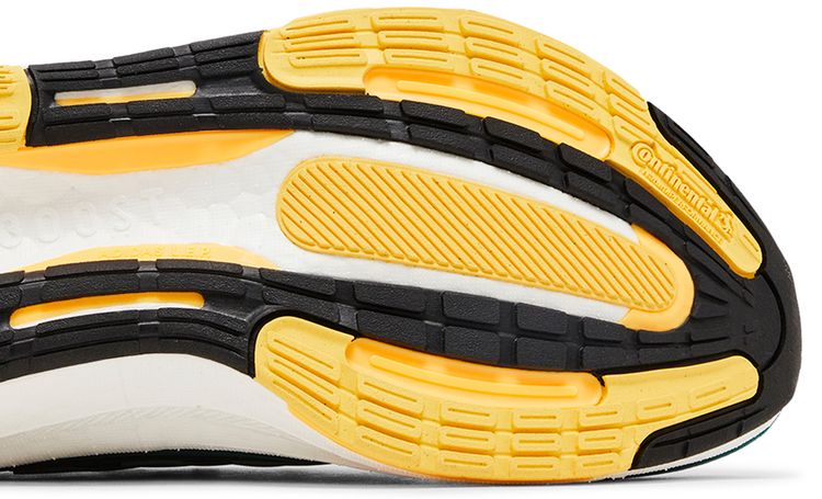 Adidas UltraBoost Light Earth Day