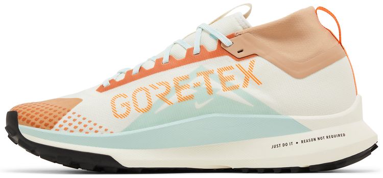 React Pegasus Trail 4 GORE TEX Have a Nike Day