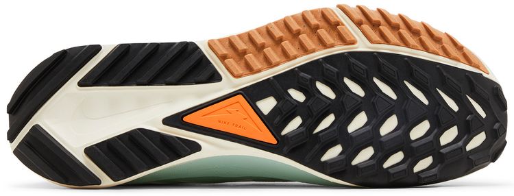 React Pegasus Trail 4 GORE TEX Have a Nike Day