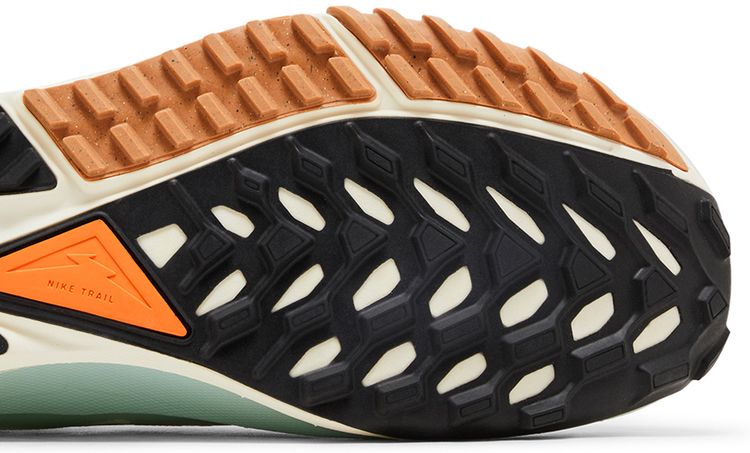 React Pegasus Trail 4 GORE TEX Have a Nike Day