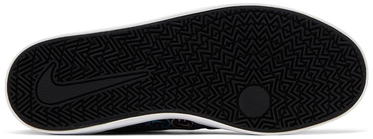 Check Canvas SB GS Have A Nike Day