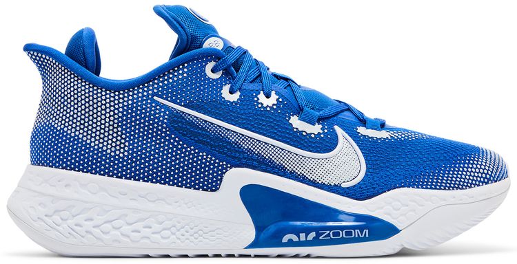 Nike Air Zoom BB NXT TB Game Royal