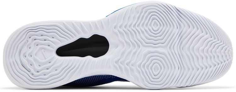 Nike Air Zoom BB NXT TB Game Royal