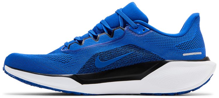 Nike Air Zoom Pegasus 41 Duke
