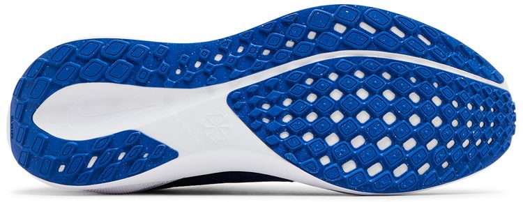 Nike Air Zoom Pegasus 41 Duke