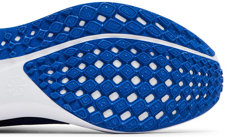 Nike Air Zoom Pegasus 41 Duke